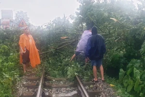 Giải tỏa các cây đổ vào ray, đường sắt thông nhiều tuyến tàu trở lại