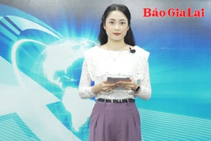 Gia Lai 24h: Sai phạm tại Công ty TNHH một thành viên Lâm nghiệp Kông H’de: Buông lỏng quản lý, thiếu kiểm tra, giám sát