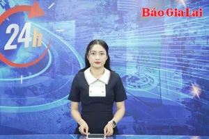 Gia Lai 24h: Tập đoàn Đức Long Gia Lai khiếu nại vì bị yêu cầu mở thủ tục phá sản lần 2