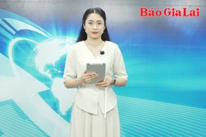 Gia Lai 24h: Ra quân điều tra dân số và nhà ở giữa kỳ năm 2024