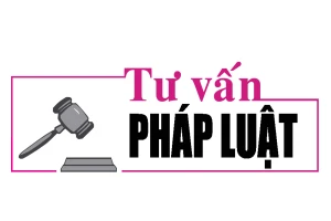 Luật sư Bùi Thanh Vũ tư vấn pháp luật về xin hoãn chấp hành án phạt tù để nuôi con nhỏ