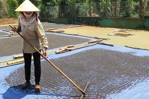 Giá hồ tiêu tăng, vì sao nông dân chờ ăn tết xong mới bán?