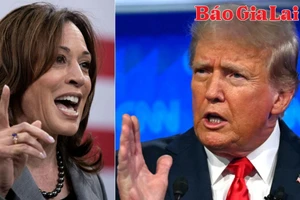 Bà Harris dẫn trước ông Trump ở 3 bang chiến trường