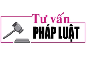 Luật sư Bùi Thanh Vũ tư vấn pháp luật về xử lý hành vi ly hôn giả tạo