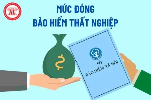 Đề xuất sửa mức đóng bảo hiểm thất nghiệp