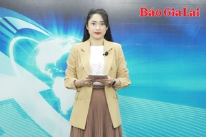 Gia Lai 24h: Khởi tố vụ khai thác gỗ trái phép tại lâm phần Công ty Trạm Lập