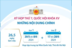 Những nội dung chính của Kỳ họp thứ 7, Quốc hội khóa XV