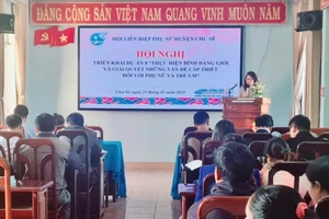 Chư Sê: Triển khai Dự án 8 về bình đẳng giới 