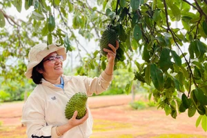 Gia Lai triển khai nhiệm vụ hỗ trợ hệ sinh thái khởi nghiệp đổi mới sáng tạo