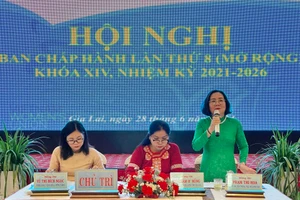 Nửa nhiệm kỳ 2021-2026, Gia Lai có 1.624 hộ hội viên phụ nữ thoát nghèo