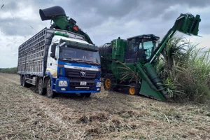 Công ty cổ phần Nông nghiệp AgriS Gia Lai: Đảm bảo hài hòa lợi ích giữa Doanh nghiệp và nông dân