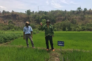 Hơn 2,1 tỷ đồng phát triển các mô hình khuyến nông