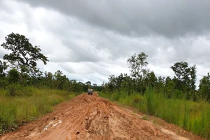 Nhiều tuyến đường vào các xã biên giới huyện Chư Prông bị lầy lội vào mùa mưa. Ảnh: Hà Duy