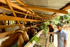 Gia Lai triển khai nhiều giải pháp để kéo giảm tỷ lệ hộ nghèo trong đồng bào dân tộc thiểu số. Ảnh: Hà Duy