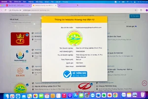 Gia Lai được xác nhận 96 website thương mại điện tử bán hàng