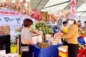 Gia Lai: Khai mạc Phiên chợ giới thiệu sản phẩm vùng đồng bào dân tộc thiểu số và miền núi 