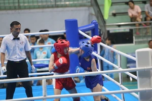 Gần 100 võ sĩ đọ sức ở Giải Vô địch Kickboxing miền Trung-Tây Nguyên