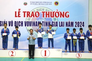 Gia Lai: Trao 32 bộ huy chương cho các võ sĩ Vovinam xuất sắc