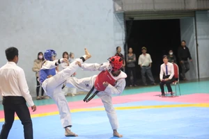 Hơn 260 võ sĩ so tài ở Giải Vô địch Taekwondo tỉnh Gia Lai năm 2023