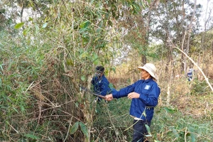 Pleiku: Cưỡng chế đất thu hồi đất giao khoán đối với ông Tưởng Tín