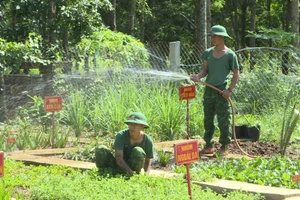 Đồn Biên phòng Ia Púch tích cực tăng gia sản xuất