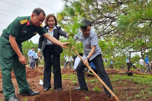 Pleiku phát động phong trào “Tết trồng cây đời đời nhớ ơn Bác Hồ"