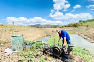 Gia Lai đề ra 9 nhiệm vụ trọng tâm về phòng-chống thiên tai trong năm 2023