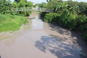 Công ty mang tên “tài nguyên xanh” nhưng hoạt động... không xanh