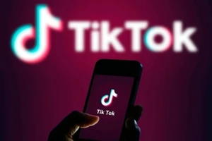 Bỉ cấm nhân viên cài đặt TikTok trên thiết bị công