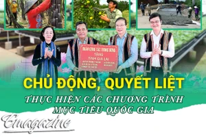 Chủ động, quyết liệt thực hiện các chương trình mục tiêu quốc gia