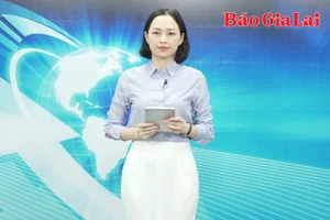 Gia Lai 24h: Bị phạt và truy thu 802 triệu đồng do chiếm đất làm dự án điện gió