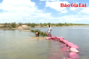 Sông Ba trơ đáy: Hàng trăm ha lúa đối mặt nguy cơ thiếu nước