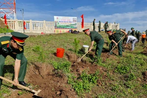 Binh đoàn 15 trồng hơn 4 ngàn cây thông 3 lá