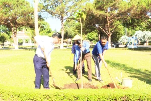 Chư Păh phát động Tết trồng cây “Đời đời nhớ ơn Bác Hồ”