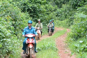 Giữ bình yên cho những cánh rừng 