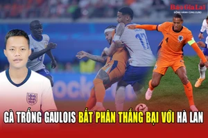 Gà trống Gaulois bất phân thắng bại với Hà Lan