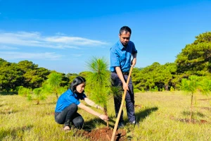 Tuổi trẻ Pleiku chung tay phủ xanh đất trống, đồi trọc