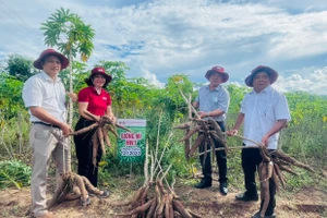 Nông dân Ia Rtô chuyển đổi cây trồng, vật nuôi