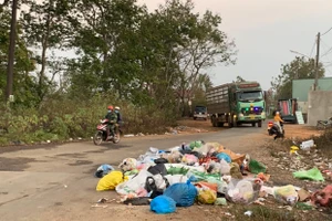 Cần có giải pháp ngăn chặn hành vi xả rác nơi công cộng 