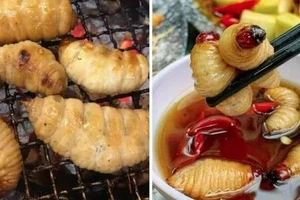 Những món ăn 'không bình thường' ở Việt Nam du khách nên thử