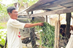 Ia Sao: Lan tỏa phong trào sản xuất, kinh doanh giỏi