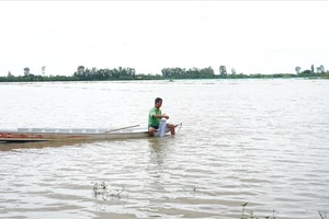 Chơi vơi mùa nước nổi - Kỳ cuối: Những cách làm mới 