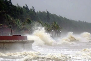 Khu vực ven biển từ Quảng Ninh-Khánh Hòa chủ động ứng phó bão Koinu