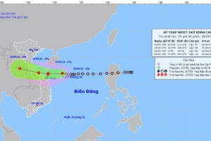 Ứng phó với áp thấp nhiệt đới: Nguy cơ thành bão và gây lũ lụt