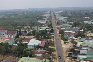 Thu hồi đất chè Biển Hồ và Đak Đoa để làm đường hành lang nghìn tỉ đồng