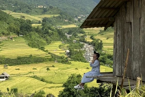 Sa Pa mùa lúa chín níu chân du khách không nỡ rời xa