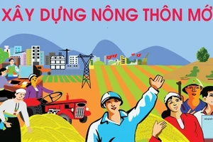 Bộ Nội vụ, Bộ Giáo dục và Đào tạo trả lời kiến nghị của cử tri 