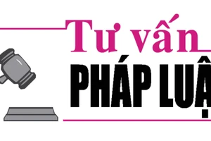 Luật sư Bùi Thanh Vũ tư vấn pháp luật về thủ tục làm lại giấy chứng nhận quyền sử dụng đất