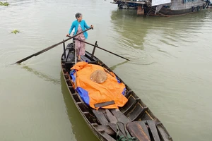 Mai này chợ nổi có 'chìm'?: Những 'nữ tướng' trên sông