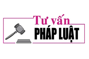 Luật sư Bùi Thanh Vũ tư vấn